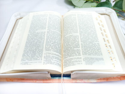 Okładka,etui na Pismo Święte, Biblię | BIBLIA Z PAPUGĄ | Kamień D14z - [] - In Gloria